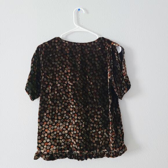 Madewell  Velvet  Tulip Sleeve Top with pleated hem - Picture 2 of 7